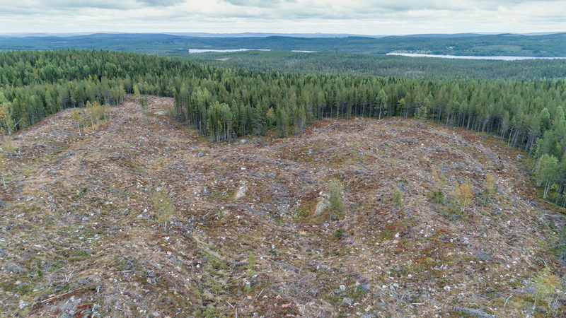 Image for Why Velvet’s claim of protecting forests should be flushed away