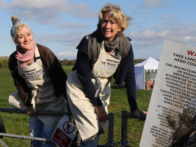Image for Lights, camera, direct action: 6 times Emma Thompson spoke up for the planet