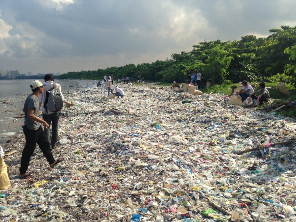 Image for A joint mission: ending plastic pollution