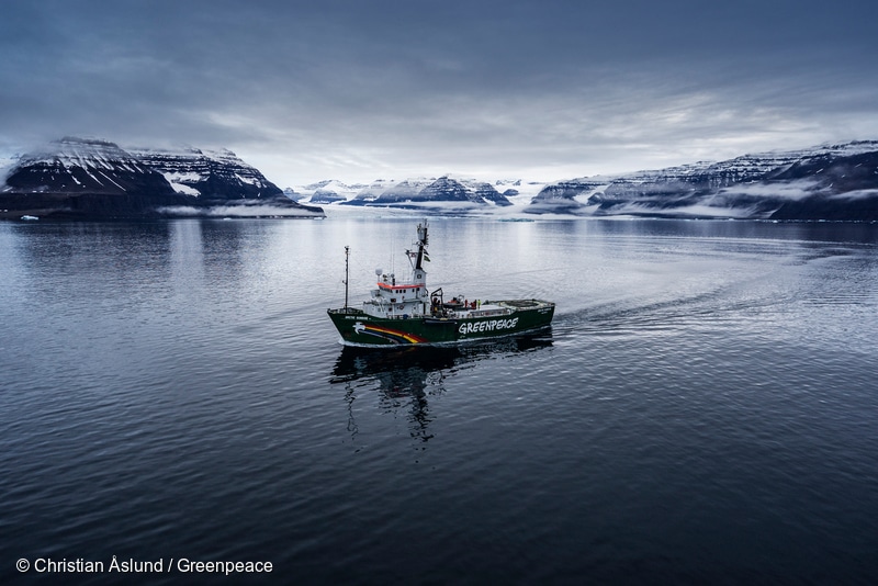 Image for Where Does Greenpeace Stand on Seal Hunting?