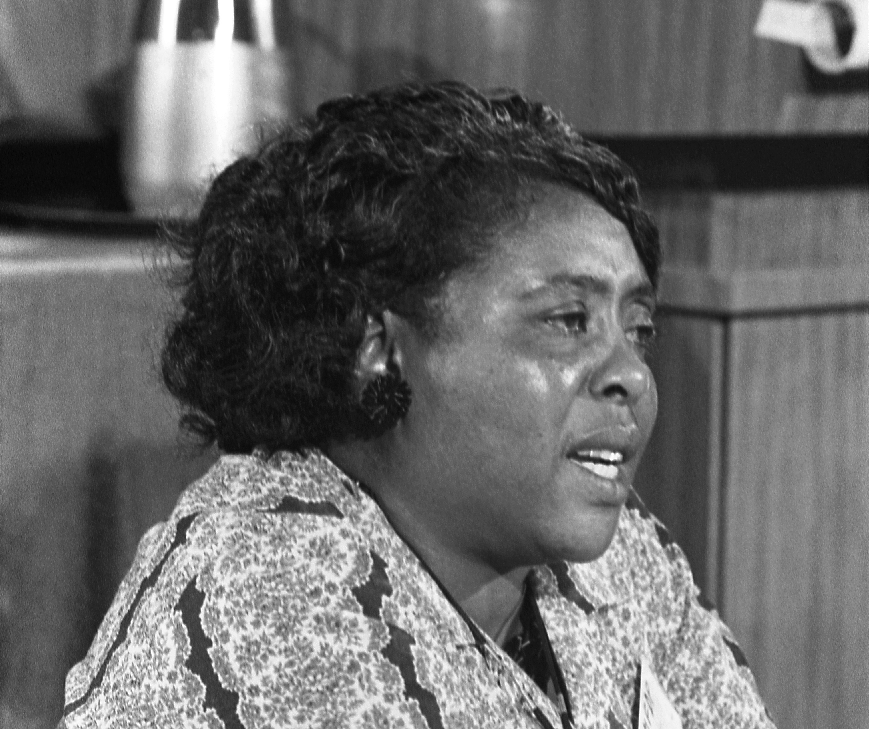 Image for Black History Month: How Fannie Lou Hamer inspires the modern climate movement