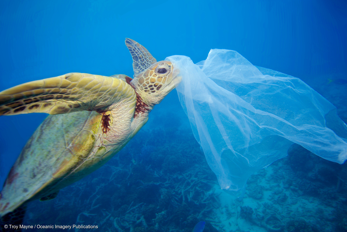 Image for In Pictures: Ending Plastic Pollution on Earth Day!