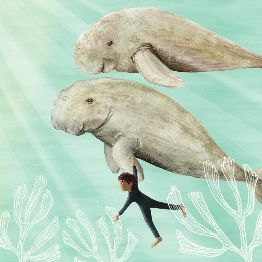 What is a dugong? Check out these beautiful drawings of this hardto