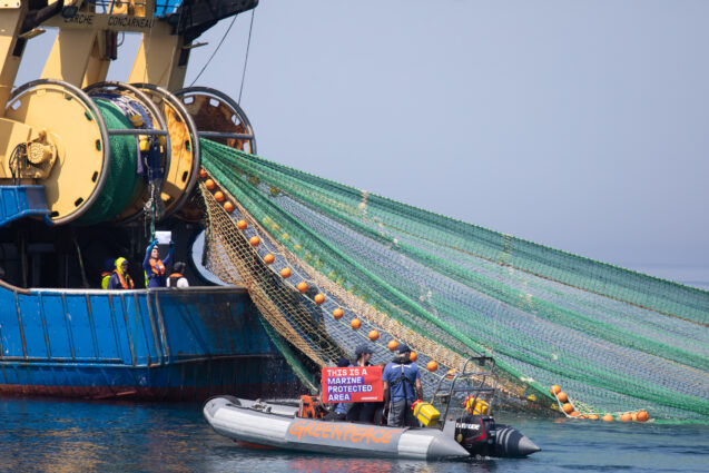 Campaigners in a small inflatable boat pull up behind an industrial fishing ship as it hauls in a huge green net. They hold up a banner reading 'This is a Marine Protected Area'