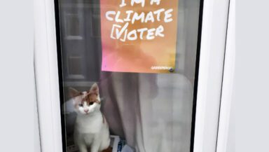 A cute kitten sitting in a window with a poster that says I'm a climate voter.