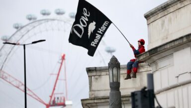 An activist in a helmet and boiler suit sits on a ledge of an ornate stone building, waving a black flag saying 'Dove - Real Harm'. The London Eye is visible in the background.