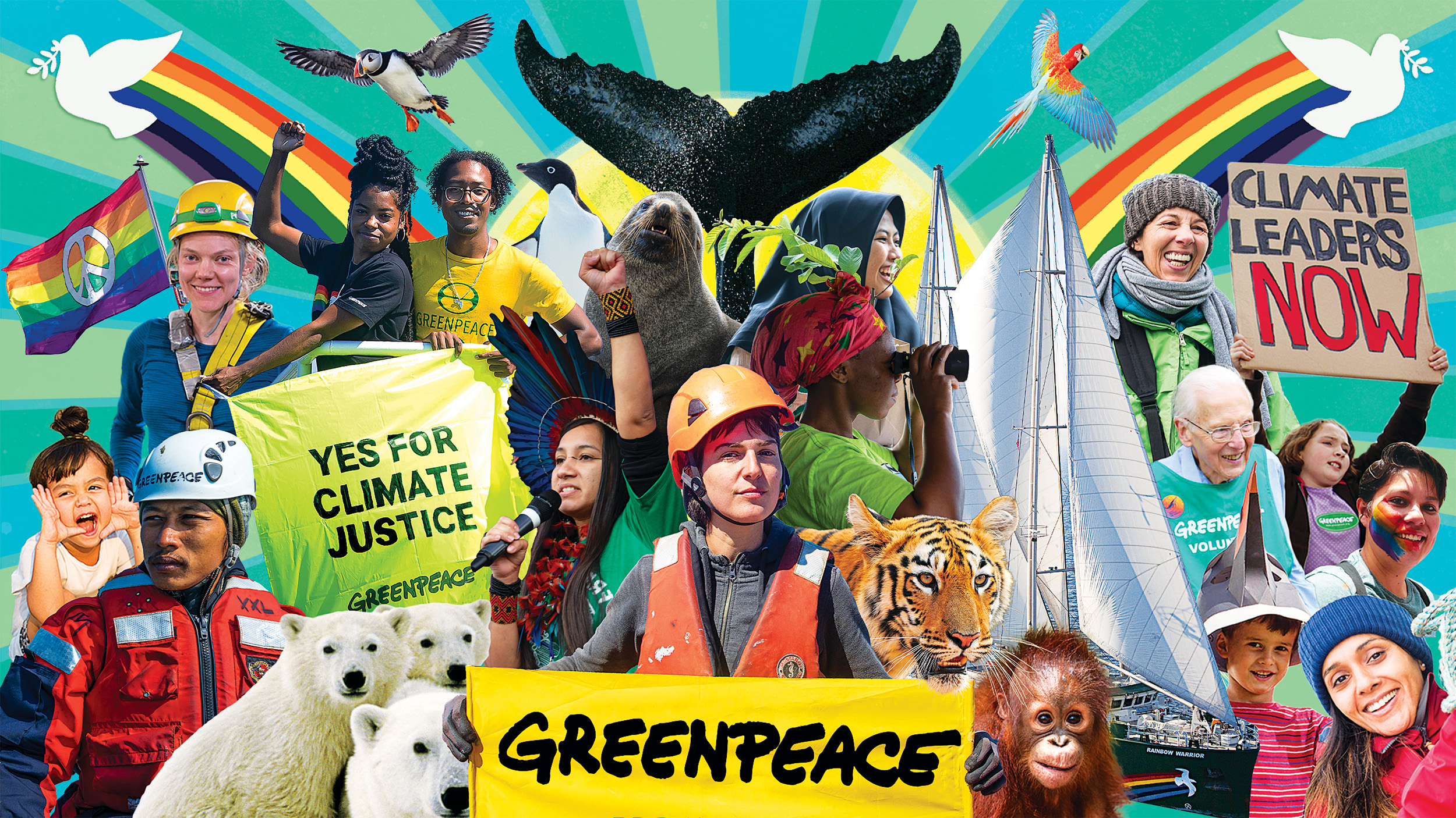 Colourful photo montage shows Greenpeace activists and volunteers at work, along with wildlife like polar bears, whales and orangutans.