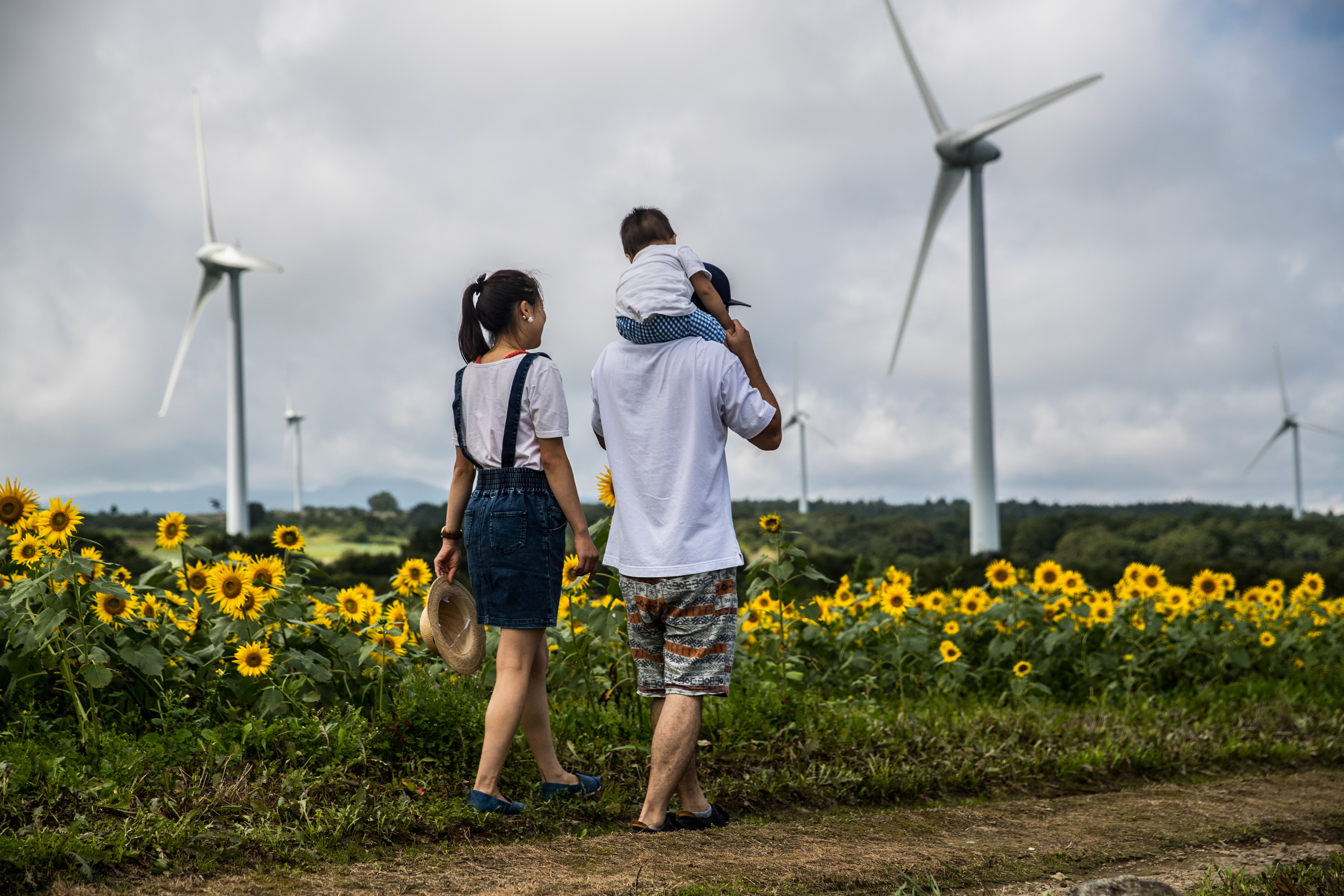 Two adults, one with a child on their shoulders, walk through a field of sunflowers with wind turbines generating renewable energy in the background.