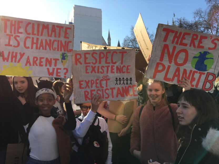 How 2019 party manifestos measured up on climate change and nature