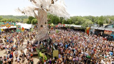 A large tree with white wisps blows in the wind high above a festival field with many people in a crowd in it, and an colourful arch and signage for a bar