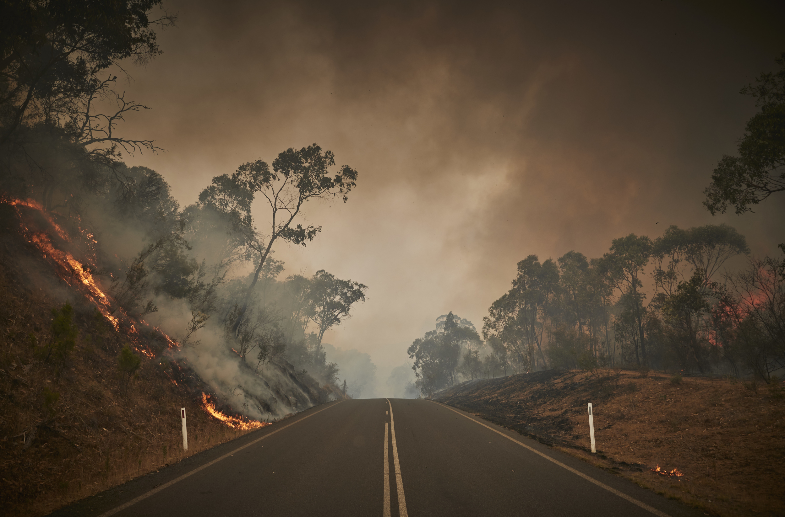 Factcheck: Australia’s unprecedented fires are down to climate change, not arson