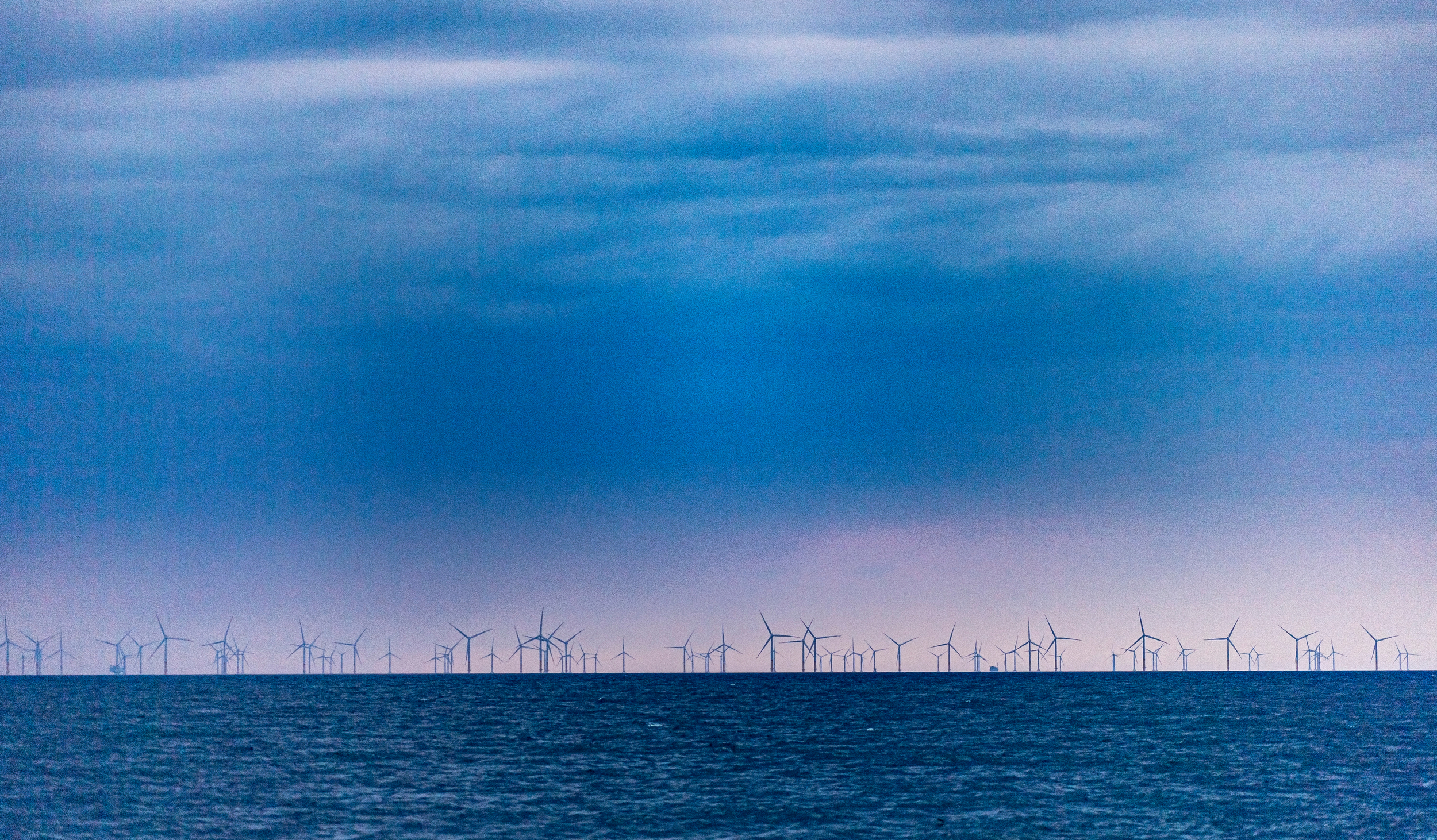 Six tough questions about Greenpeace’s climate campaign, answered by experts