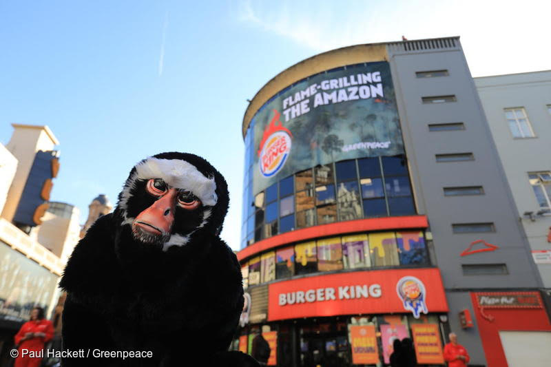 Flame-grilling the Amazon: Greenpeace UK climbers drop giant wildfire banners over flagship Burger King