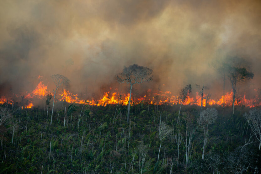 Open letter to the UK Prime Minister: Take action to protect the Amazon