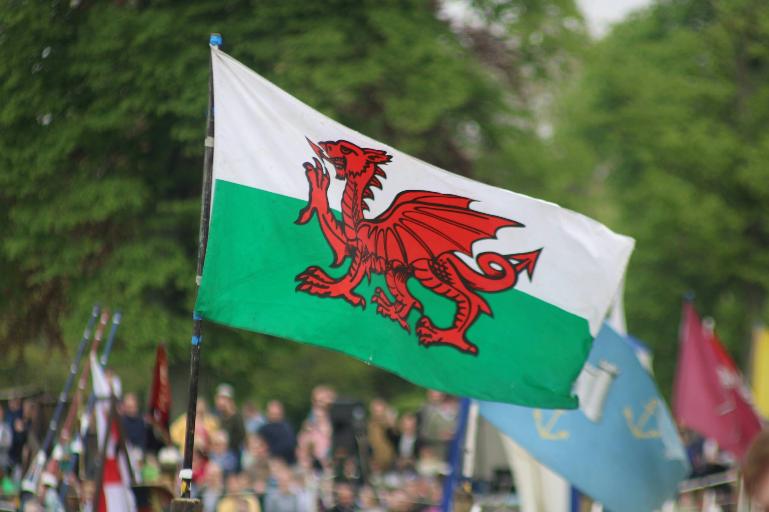 The Welsh flag flying in a parade